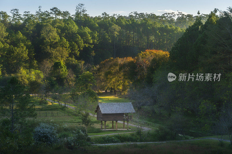 泰国清迈Baan Wat Chan美丽的自然风景